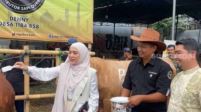 Ustaz Solmed dan April Jasmine saat meninjau tempat pembelian sapi kurban di kawasan Bekasi, Jawa Barat pada Selasa, 19 April 2026 [Suara.com/.Tiara Rosana]