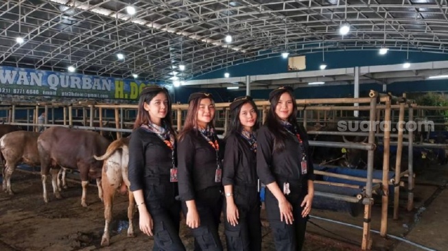 Beli Hewan Kurban di Depok Dilayani SPG ala Pramugari, Pembelinya Ada yang dari Luar Negeri
