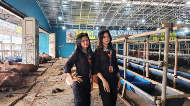 Kisah Eks SPG Mobil Mewah yang Kini Jadi 'Pramugari' Sapi