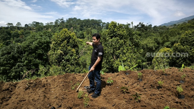 CEO Astra UD Trucks Bambang Widjanarko bersiap menanam bibit kopi di Boja Farm, Desa Sejahtera Astra di Kaki Gunung Salak, Bogor, Jawa Barat, Kamis (21/5/2026). [Suara.com/Liberty Jemadu]