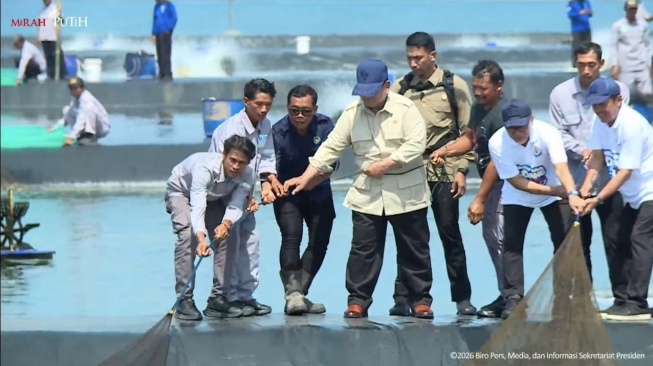 Prabowo Ikut Tarik Jaring Udang di Tambak Kebumen, Kagum Panen Capai 40 Ton per Hektare