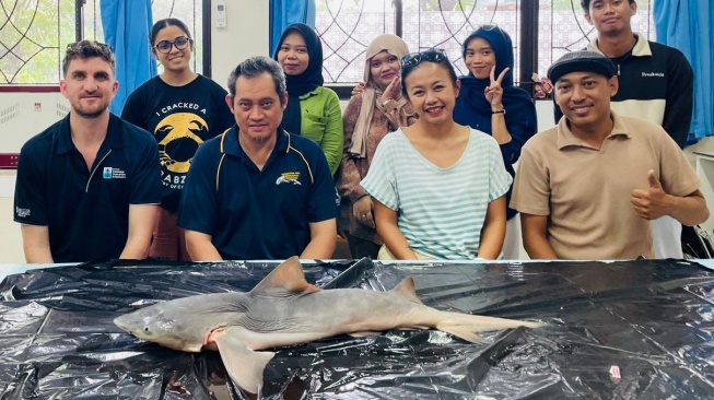 Tim peneliti gabungan dari Universitas Hasanuddin, James Cook University, dan Universitas Borneo Tarakan menemukan kembali Hiu Gangga (Glyphis gangeticus) [SuaraSulsel.id/Unhas]