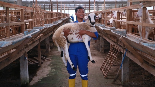 Bolehkah Kurban Satu Kambing untuk Sekeluarga Saat Iduladha? Ini Hukumnya
