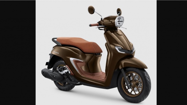 Honda Stylo Royal Brown (AHM)
