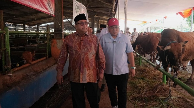 68 Ribu Hewan Kurban Disembelih di Jakarta, Bagaimana Pemprov DKI Pastikan Dagingnya Aman?