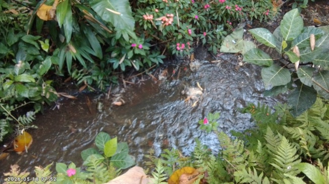 Sungai di Belakang Rumah dan Hilangnya Kesadaran Masyarakat Terhadap Sampah