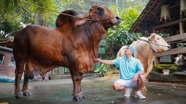 Irfan Hakim mengaku banjir pesanan sapi kurban untuk tahun ini, yang kebanyakan dari rekan artis dari Raffi Ahmad hingga Maia Estianty. [Instagram]