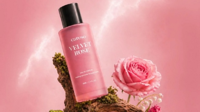 Careso Velvet Rose (Shopee)