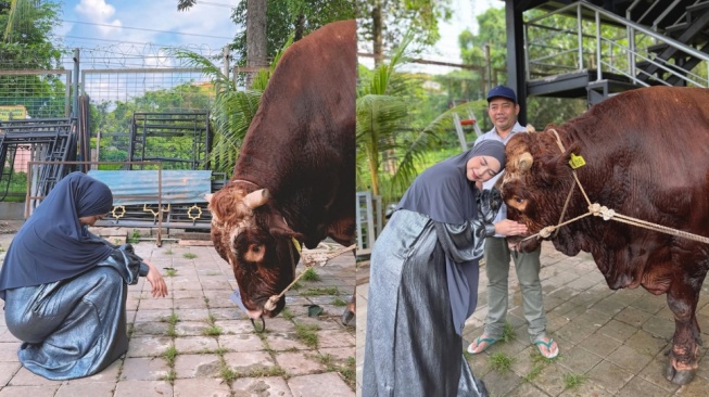 Momen Ria Ricis Nangis Saksikan Sapi Kurban Miliknya Disembelih
