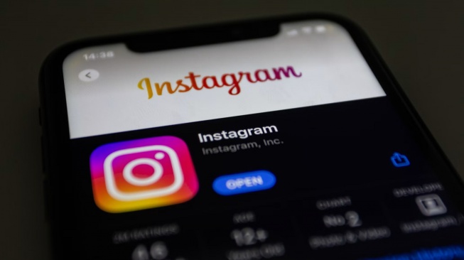 Cara Simpan Foto dan Video Instagram dengan Snapgram Sebelum Nonaktif