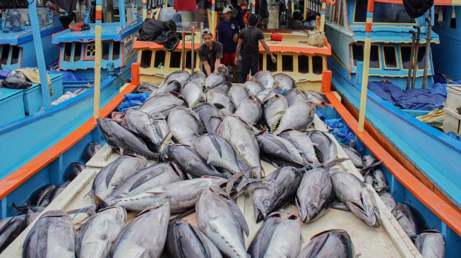 Nelayan menata ikan tuna hasil tangkapan di atas kapal saat bersandar di Tempat Pelelangan Ikan (TPI) Sendang Biru, Kabupaten Malang, Jawa Timur, Kamis (28/5/2026). [ANTARA FOTO/Irfan Sumanjaya/YU]