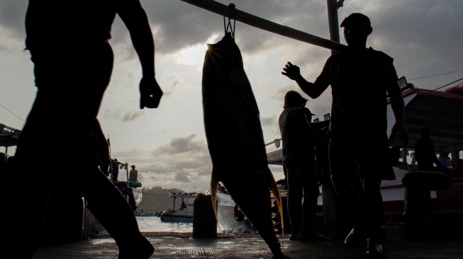 Pekerja mengangkat ikan tuna hasil tangkapan nelayan di Tempat Pelelangan Ikan (TPI) Sendang Biru, Kabupaten Malang, Jawa Timur, Kamis (28/5/2026). [ANTARA FOTO/Irfan Sumanjaya/YU]
