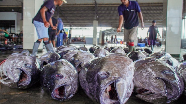 Pekerja menata ikan tuna hasil tangkapan nelayan di Tempat Pelelangan Ikan (TPI) Sendang Biru, Kabupaten Malang, Jawa Timur, Kamis (28/5/2026). [ANTARA FOTO/Irfan Sumanjaya/YU