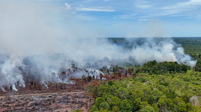Foto udara kebakaran hutan dan lahan (karhutla) di kawasan lahan gambut Desa Kuta Padang, Kecamatan Bubon, Aceh Barat, Aceh, Senin (1/6/2026). [ANTARA FOTO/Syifa Yulinnas/wsj]