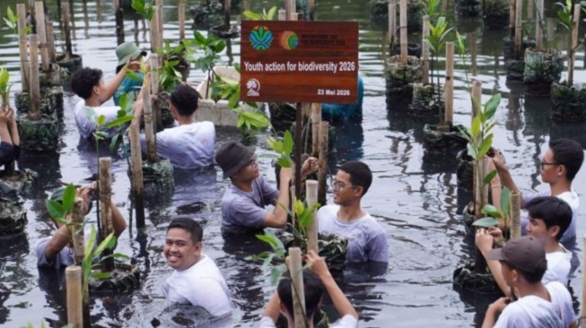 Menyiapkan Generasi Penjaga Lingkungan, Ratusan Pelajar Belajar Konservasi di Hutan Mangrove