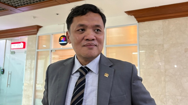 Habiburokhman: Tak Perlu Ada Perlakuan Khusus untuk Dino Patti Djalal