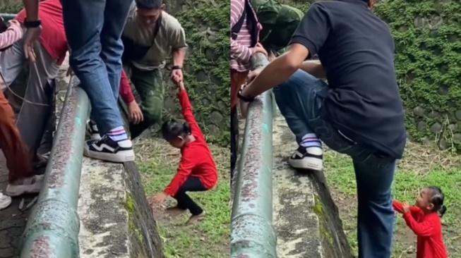 Bikin Jantung Deg-degan! Anak Kecil Nyemplung ke Kandang Gajah Saat Liburan