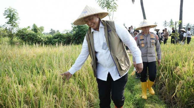 Bulog Tembus 3 Juta Ton Serapan Gabah-Beras Petani, Rekor Baru Penguatan Cadangan Pangan Nasional