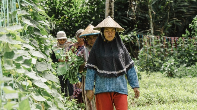 Kelompok Wanita Tani (KWT) di Desa Soligi dan Kawasi yang seluruh anggotanya adalah kaum perempuan. (Dok: Istimewa)