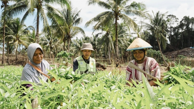 Harita Nickel memberikan pendampingan yang dilakukan secara intensif kepada para perempuan petani sehingga mampu mengelola lahan pertanian secara lebih produktif dan profesional. (Dok: Istimewa)