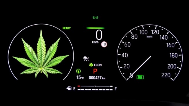 Negara Ini Siapkan Aturan yang Perbolehkan Berkendara Dalam Pengaruh Ganja Medis