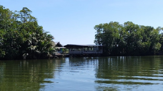 Rumah tambak di tepi sungai Delta Lakkang, Kecamatan Tallo, Kota Makassar [SuaraSulsel.id/Istimewa]
