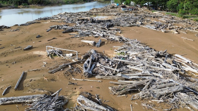Sejumlah anjing melintas di antara sisa material banjir bandang yang masih menutupi lapangan sepak bola Brandon di Lapai, Padang, Sumatera Barat, Rabu (10/6/2026). [ANTARA FOTO/Fitra Yogi/bar]