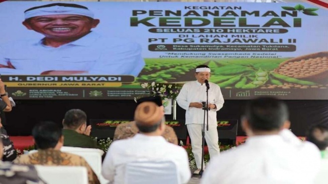 Dorong Swasembada Kedelai, KDM Minta Petani Lakukan Ini