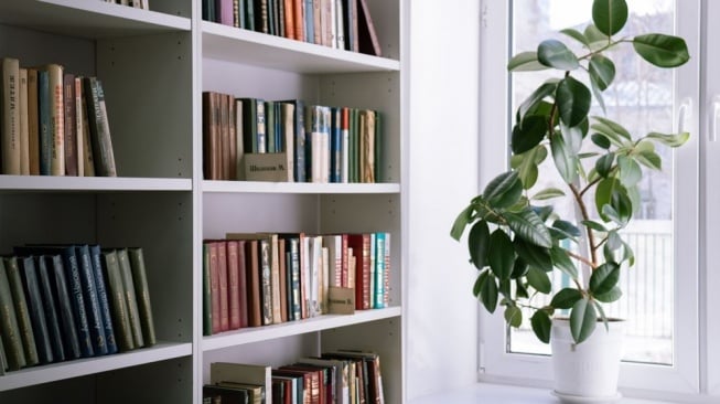 5 Tips Menata Rak Buku Menurut Feng Shui, Jangan Asal Taruh agar Energi Tetap Positif