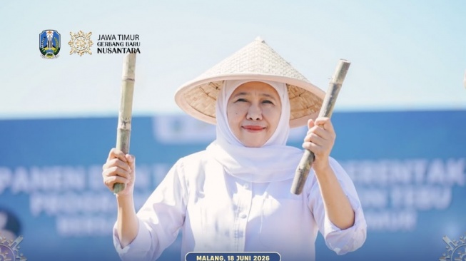 Jatim Sumbang 51% Produksi Gula Nasional, Khofifah Genjot Produktivitas Lewat Program Bongkar Ratoon