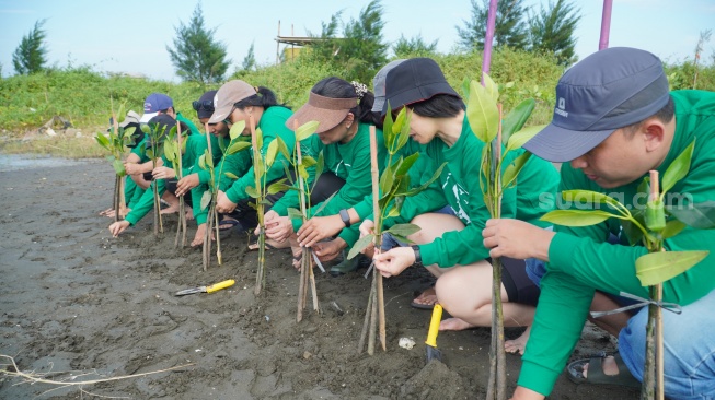 Bukan Cuma Cegah Abrasi, Inilah Manfaat Mangrove Bagi Keberlanjutan Ekonomi Pesisir