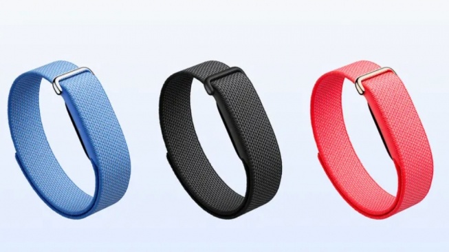 Harga Fitbit Air Gelang Pintar Google, Lengkap dengan Spesifikasi dan Review