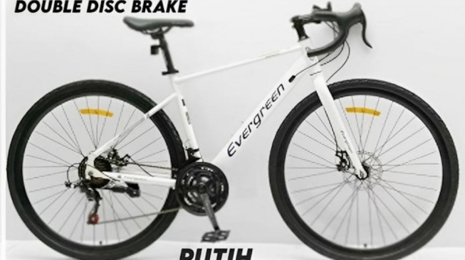 Evergreen Gravel Jazz 700C