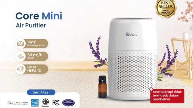 Air Purifier Mini. (Shopee)