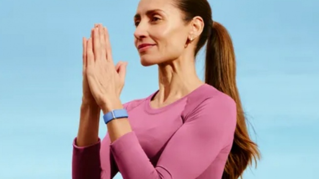 Fitbit Air. (Google)