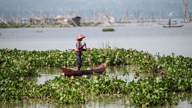 Nelayan mencari ikan di desa wisata Kampung Rawa, Ambarawa, Kabupaten Semarang, Jawa Tengah, Kamis (25/6/2026). [ANTARA FOTO/Aprillio Akbar/YU]