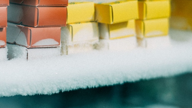 Ilustrasi bunga es di freezer (Pexels/Mathias Reding)