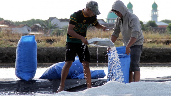 Petani memanen garam di tambak kawasan Panggungrejo, Pasuruan, Jawa Timur, Minggu (28/6/2026). [ANTARA FOTO/Umarul Faruq/sgd]