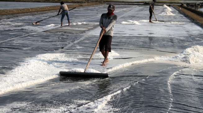 Sejumlah petani memanen garam di tambak kawasan Panggungrejo, Pasuruan, Jawa Timur, Minggu (28/6/2026). [ANTARA FOTO/Umarul Faruq/sgd]