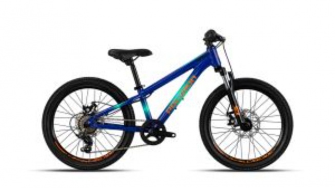 Polygon Sepeda MTB Junior Cascade 20