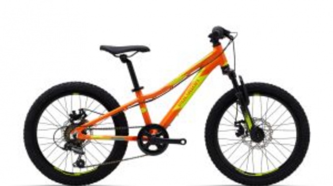 Polygon Sepeda MTB Junior Relic 20 2021