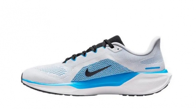 Nike Pegasus 41.