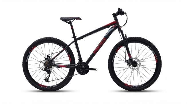 Sepeda Gunung MTB Wimcycle Falcon