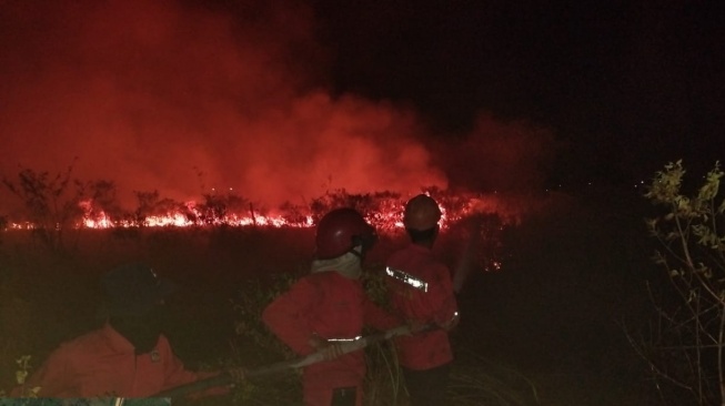 Api Melalap 10 Hektare Lahan di Dekat Tol Palindra, Manggala Agni Turun hingga Dini Hari