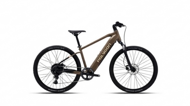 Polygon Sepeda Ebike Kalosi Miles High Step