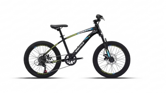 Sepeda Gunung Anak MTB Junior Wimcycle Vulcan 20"