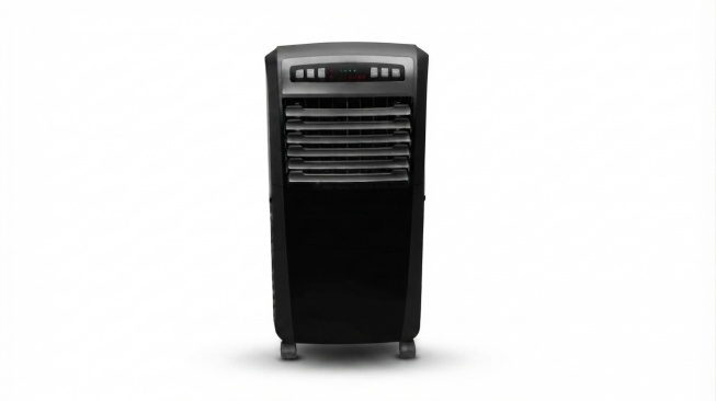 Sharp Air Cooler PJ-A55TY-B