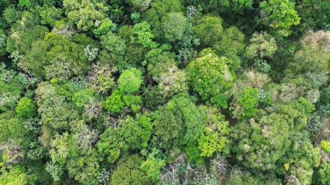 WWF Indonesia Dukung Langkah Raja Juli Antoni Perkuat Ranger di 13 Taman Nasional
