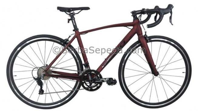 Genio Aerio R1 700C