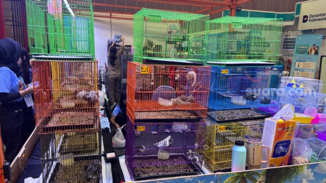 Pet Lovers Merapat! Pameran Ini Hadirkan Ragam Aktivitas Edukasi hingga Kebutuhan Hewan Peliharaan